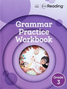 Into Reading Grammar workbook G3